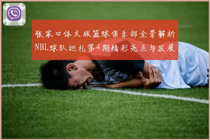 张家口体文旅篮球俱乐部全景解析NBL球队巡礼第4期精彩亮点与发展前景