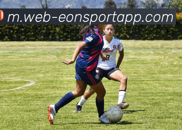 意昂体育服务体系